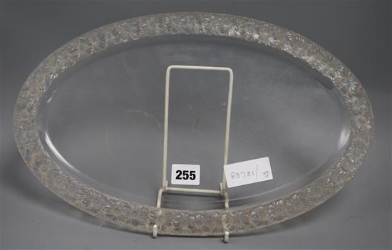An R. Lalique Marguerite pattern oval glass dish diameter 40cm